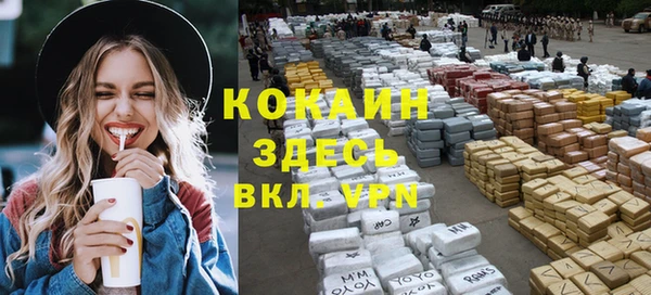 гидра Арсеньев
