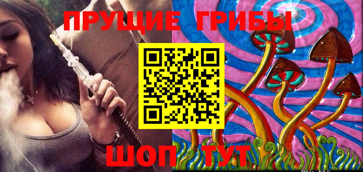 Курган  Псилоцибиновые грибы Psilocybine cubensis  как найти закладки  Вход с VPN 
